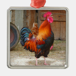 Ornamento De Metal Rhode Island Red Rooster Crowing em Barnyard
