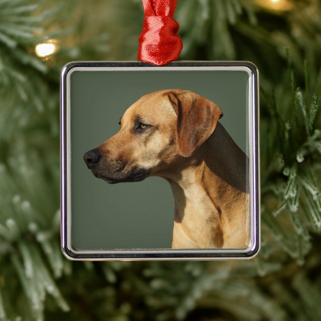 Ornamento De Metal Rhodesian Ridgeback (Árvore)