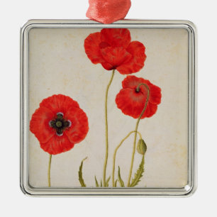 Ornamento De Metal Rhoeas de Papavar, c.1568
