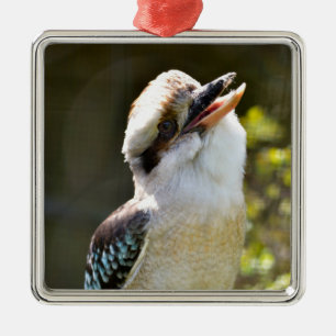 Ornamento De Metal Rindo de Kookaburra empoleirado no Squ postal