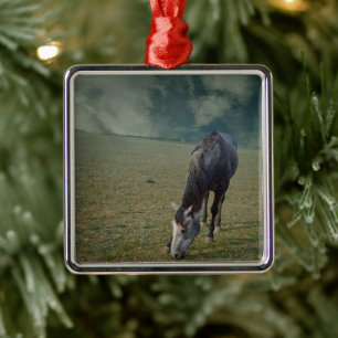 Ornamento De Metal Roan Horse Grazing Em Paddock
