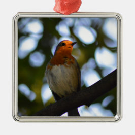 Ornamento De Metal Robin