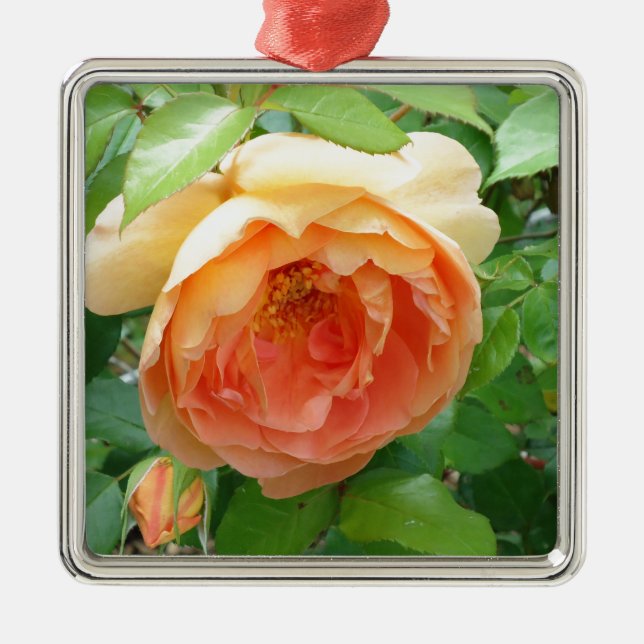 Ornamento De Metal Rosa de Blush Laranja (Frente)