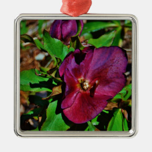 Ornamento De Metal Rosa de Lenten Rosa Burgundy