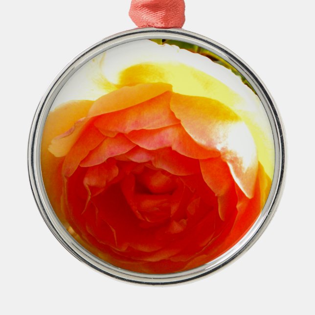 Ornamento De Metal Rosa floral de damasqueiro amarelo-esguicho (Frente)