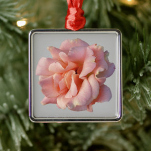 Ornamento De Metal rosa rosa rosa florescente