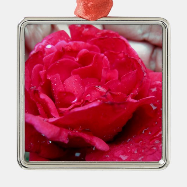 Ornamento De Metal Rosa vermelha (Frente)