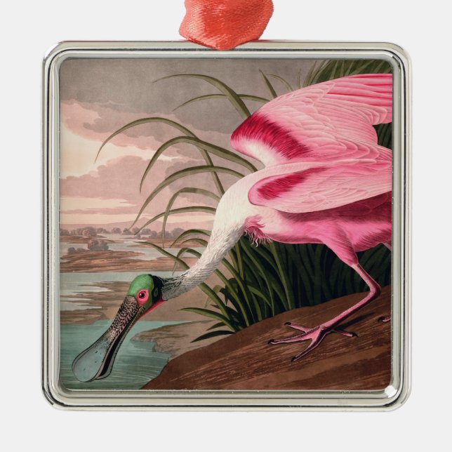 Ornamento De Metal Roseate Spoonbill Audubon Bird Willife (Frente)
