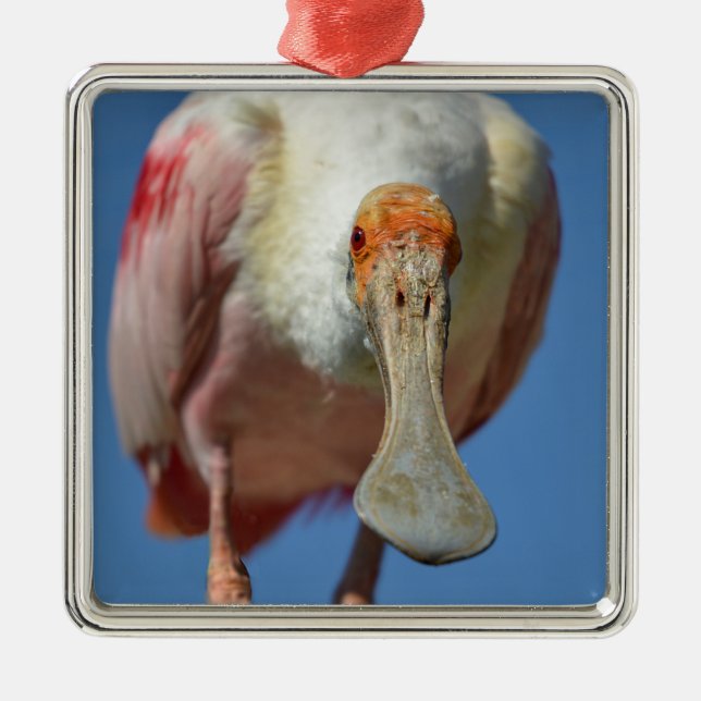 Ornamento De Metal Roseate Spoonbill com seu bico grande (Frente)