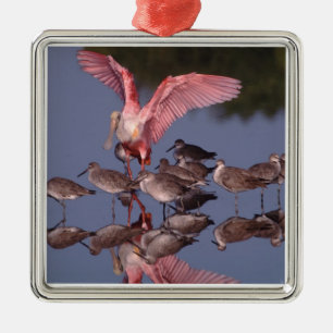 Ornamento De Metal Roseate Spoonbill com Willets em água rasa