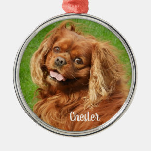 Ornamento De Metal Ruby Cavalier King Charles Spaniel Dog