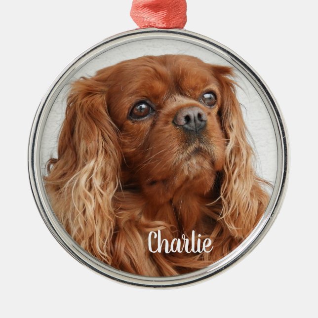 Ornamento De Metal Ruby Cavalier King Charles Spaniel Dog Metal Ornam (Frente)