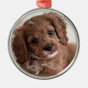 Ornamento De Metal Ruby Cavapoo - Cachorro