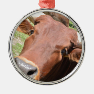 Ornamento De Metal Safari Brown Cow