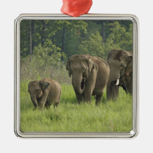 Ornamento De Metal Saída da família do elefante indiano