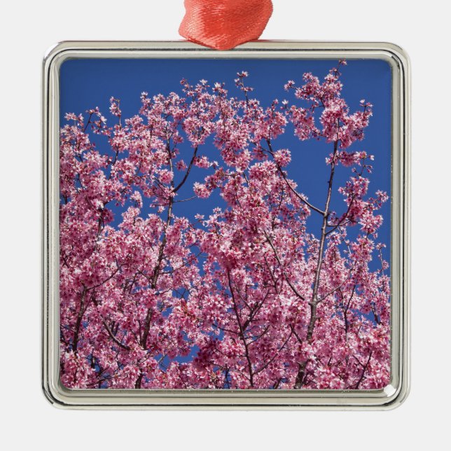 Ornamento De Metal Sakura Cherry Blossoms No Azul (Frente)