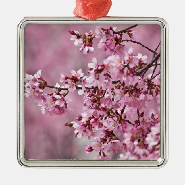 Ornamento De Metal Sakura Cherry Blossoms Pastel Pink Camadas (Frente)