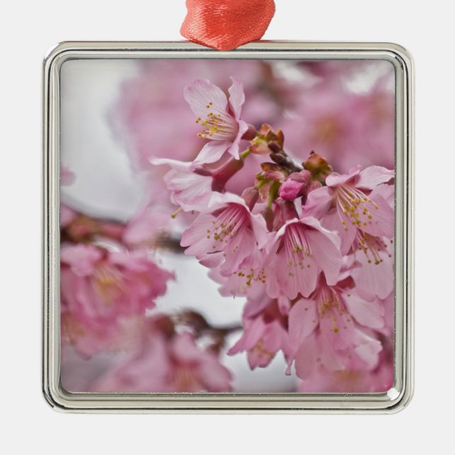 Ornamento De Metal Sakura Cherry Blossoms Rosa Pálido (Frente)