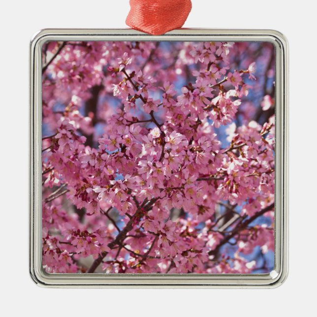 Ornamento De Metal Sakura Pink Chersom Sky (Frente)