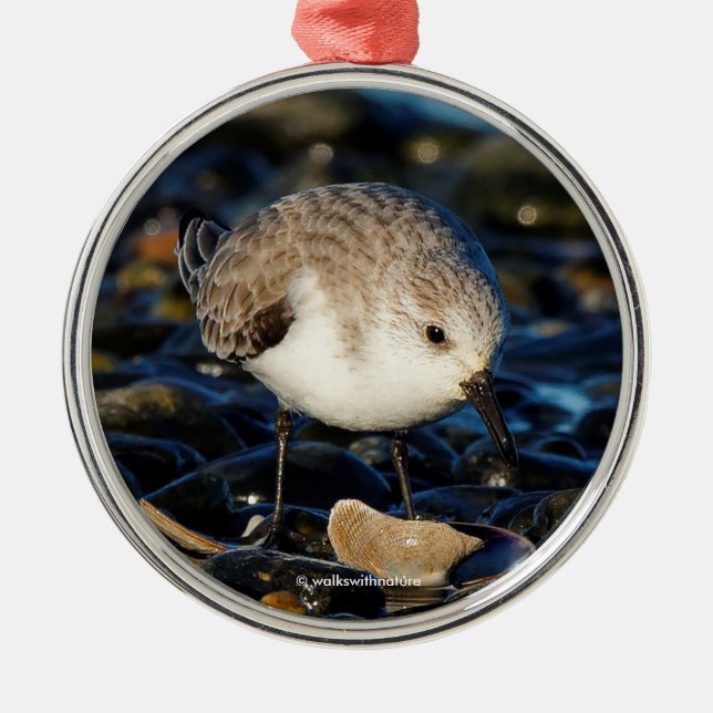 Ornamento De Metal Sanderling Cute Gosta De Jantar Na Zona Costeira (Frente)