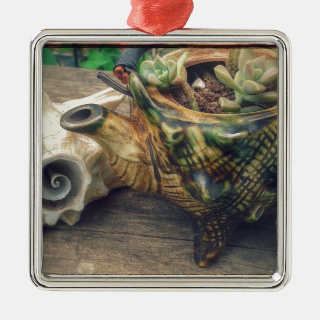 Ornamento De Metal Seashell Tea Kettle plantado com suculentos (Frente)