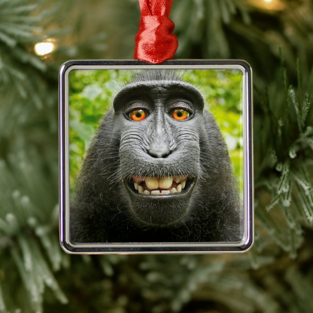 Ornamento De Metal Selfie de Macaco (Árvore)