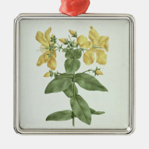 Ornamento De Metal Sensação-Esforço (quartinianum do Hypericum) (w