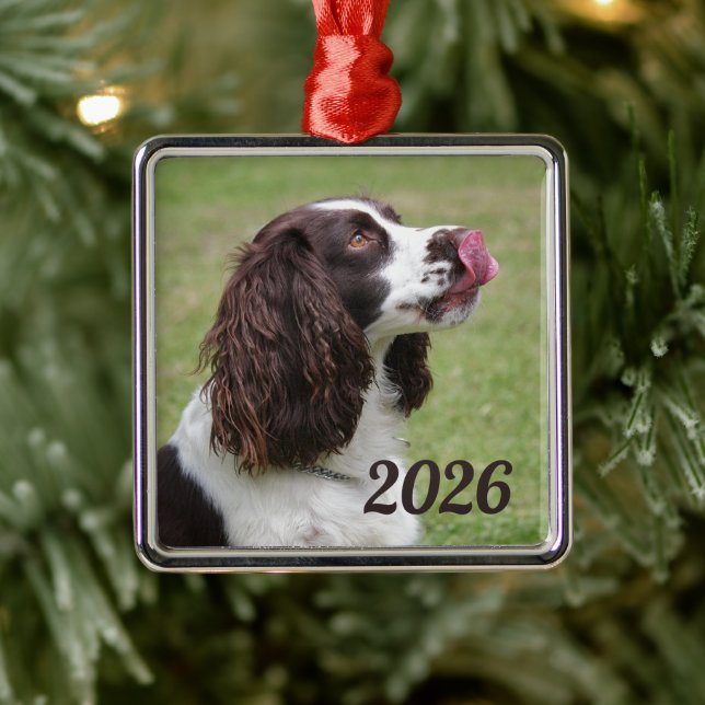 Ornamento De Metal Sentado Inglês Springer Spaniel, Lábios de Licenci (Árvore)
