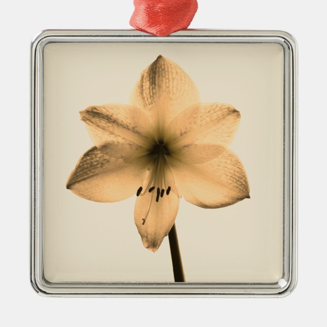 Ornamento De Metal sepia amaryllis (Frente)