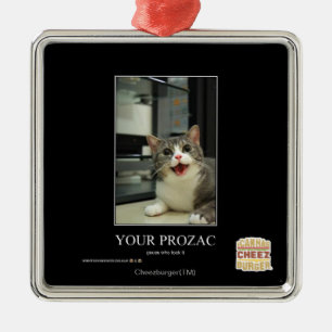 Ornamento De Metal Seu Prozac