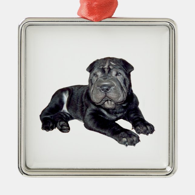 Ornamento De Metal Shar Pei chinês - cachorrinho preto (Frente)