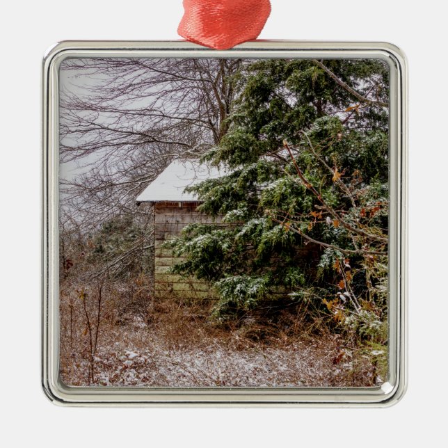 Ornamento De Metal Shed Abandonado (Frente)