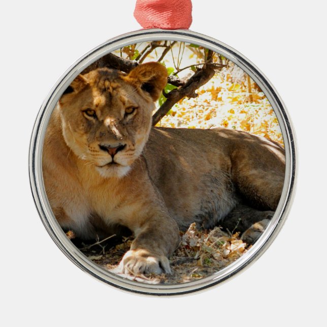 Ornamento De Metal Siesta Time (Frente)