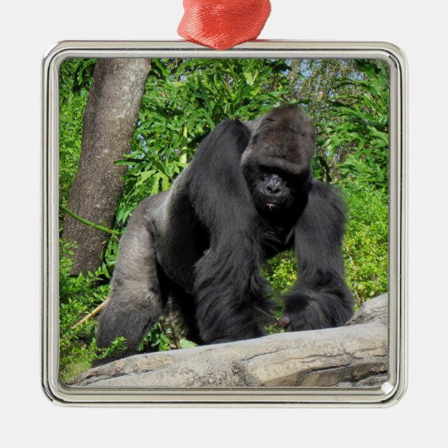 Ornamento De Metal Silverback Gorilla Ornament (Frente)