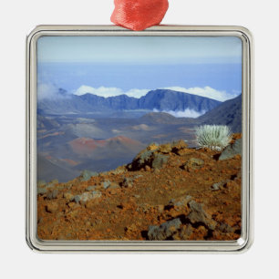 Ornamento De Metal Silversword no cume da cratera Haleakala de perto