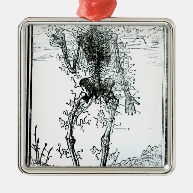 Ornamento De Metal Sistema vascular do corpo (Frente)