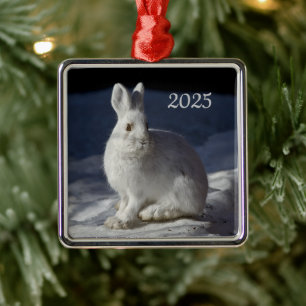 Ornamento De Metal Snowshoe Hare, Parque Nacional de Denali, Alasca