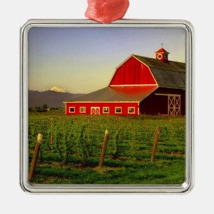 Ornamento De Metal Sol da tarde em um celeiro em Skagit, Washington
