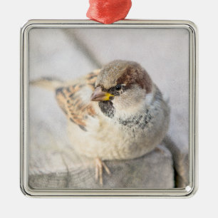 Ornamento De Metal Sparrow - Após o Transatlântico