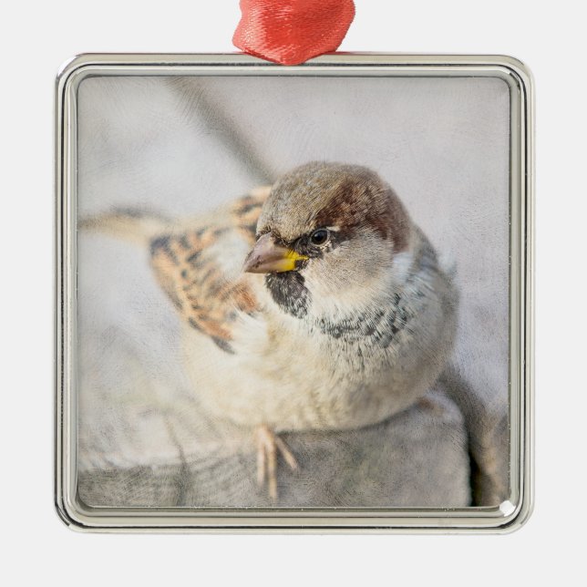 Ornamento De Metal Sparrow - Após o Transatlântico (Frente)