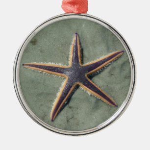 Ornamento De Metal Starfish Estrela do mar roxo na praia