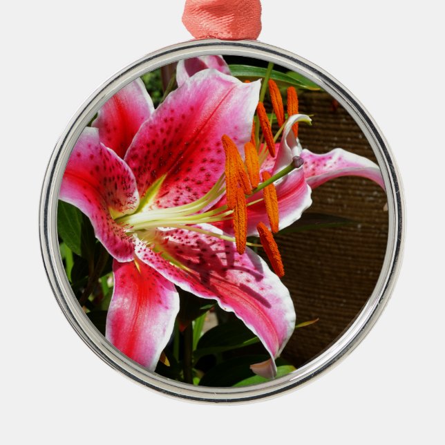 Ornamento De Metal Stargazer Lily Fotografia (Frente)