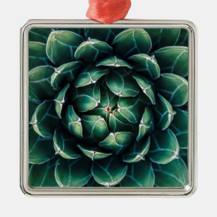 Ornamento De Metal Succulent verde & branco