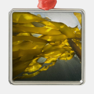 Ornamento De Metal Sul da Ilha de Ewing, Ilhas San Juan,