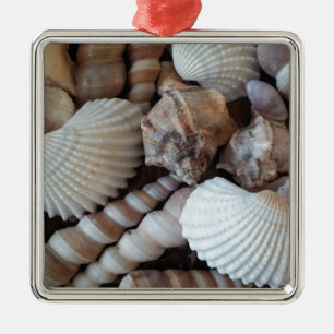 Ornamento De Metal Sunny Seashells Collection Nature Summer