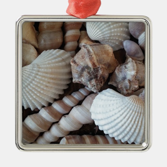 Ornamento De Metal Sunny Seashells Collection Nature Summer (Frente)
