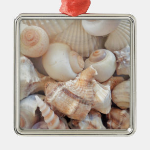 Ornamento De Metal Sunny Summer Seasheles, Sea Shells Beach Love
