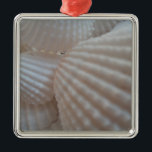 Ornamento De Metal Sunny White Seashells, Sea Shell Beach Summer Love<br><div class="desc">Sunny White Seashells,  Sea Shell Beach Summer Love</div>
