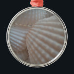 Ornamento De Metal Sunny White Seashells, Sea Shell Beach Summer Love<br><div class="desc">Sunny White Seashells,  Sea Shell Beach Summer Love</div>
