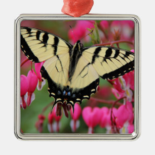 Ornamento De Metal Swallowtail oriental